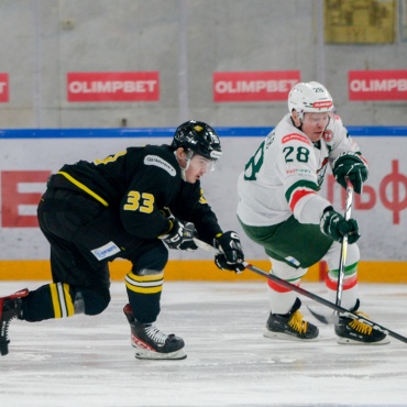 Дизель - Барс