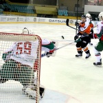 Спутник - Барс