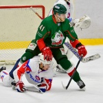 29.11.2015. Барс - Ариада