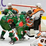 14.12.2015. Барс - Спутник