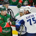 10.01.2016. Барс - Буран