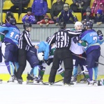 14.01.2017. Торпедо - Торос