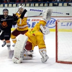 Молот-Прикамье - ХК Липецк