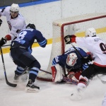 13.01.2017. ХК Рязань - Челмет