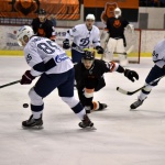 01.02.2018 Молот-Прикамье - Динамо - 1:4