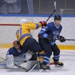 01.02.2017. ХК Рязань - Химик