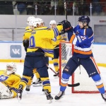 17.02.2018 СКА-Нева - Химик - 4:1