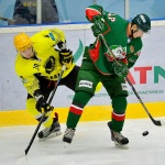 04.12.2016. Барс - Сарыарка