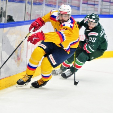 Барс - Химик