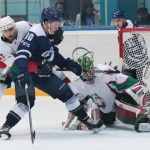 18.12.2015. Динамо - Барс