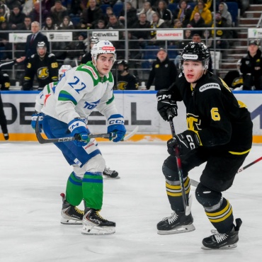 Дизель - Торос