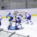 14.11.2016. Торпедо - Ариада-НХ