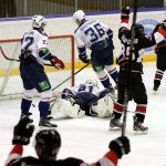 Челмет - ХК Саров