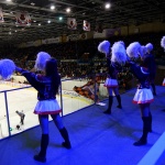 Молот-Прикамье - Сокол