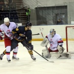 23.01.2016. Дизель - Зауралье