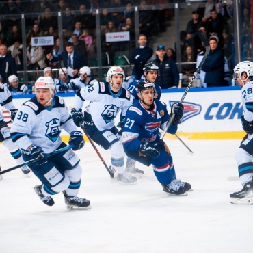 Сокол - ХК Норильск