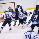 05.02.2017. ХК Рязань - Динамо Б