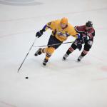 Рубин - Дизель