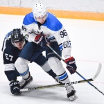 413 09.12.2017 Динамо - Зауралье - 3:0