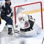 243 30.10.2017 Динамо - Челмет - 3:0