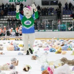 25.12.2015. Торос - Спутник