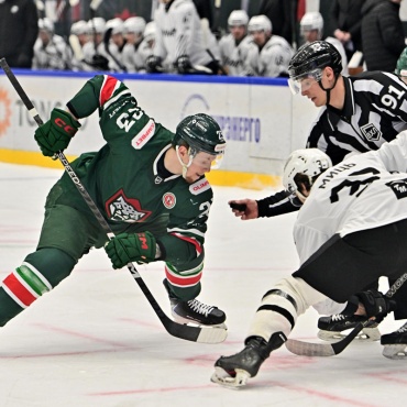 Барс - Челмет