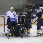 08.12.2015. Дизель - ХК Рязань