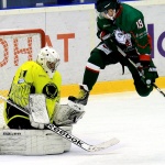 Барс - Сарыарка