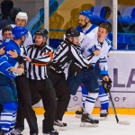 03.02.2016. ТХК - ХК Рязань