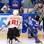 22.12.2015. СКА-Нева - Нефтяник