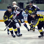 Сарыарка - Сокол