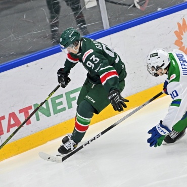 Барс - Торос