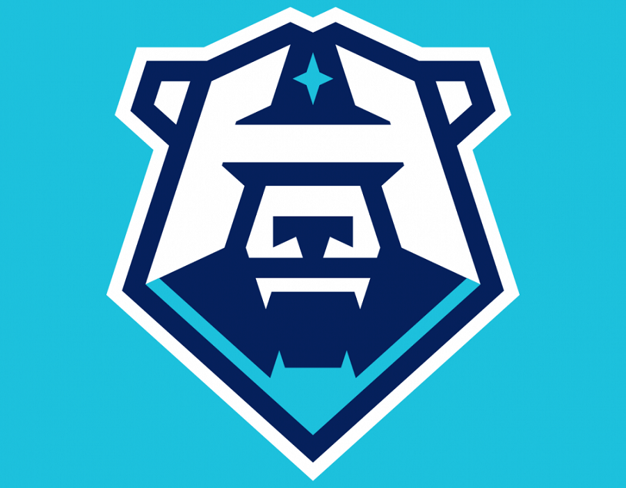 hcnorilsk-logo.png