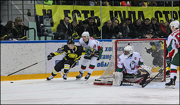 12 ноября 2016. Сарыарка - Барс